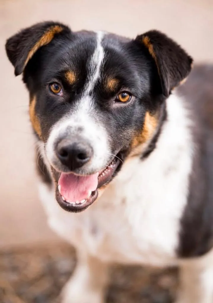 Margalo B. Berryglow thumbnail 2