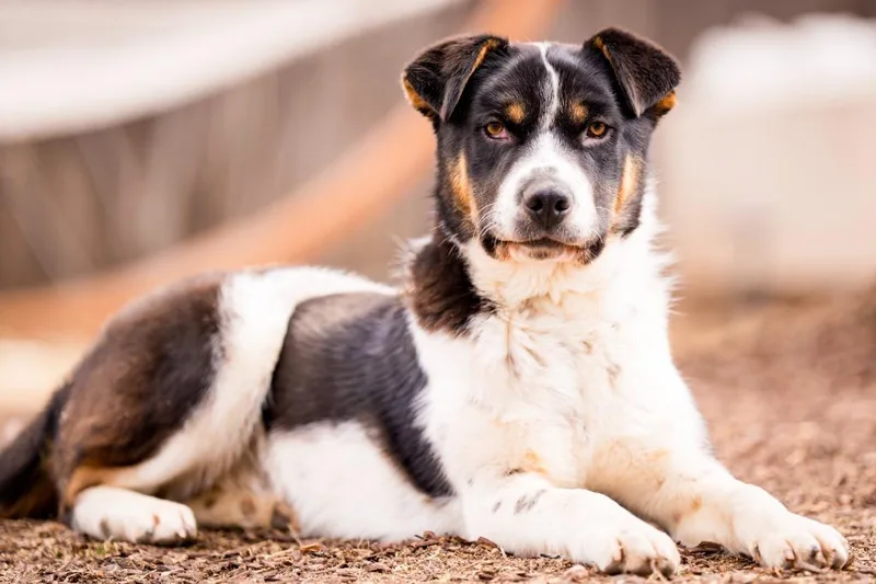 Margalo B. Berryglow thumbnail 3