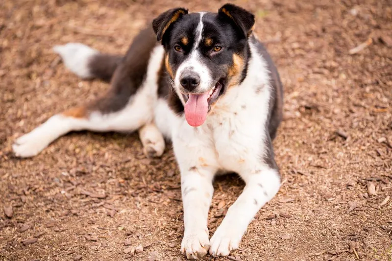 Margalo B. Berryglow thumbnail 4