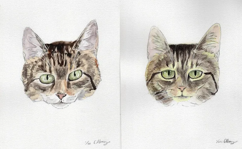 Albert & Freddie thumbnail 3