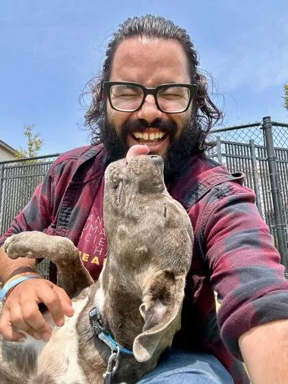 A young large-sized male Brindle Mixed Breed dog named Elliot for adoption in Wichita, KS