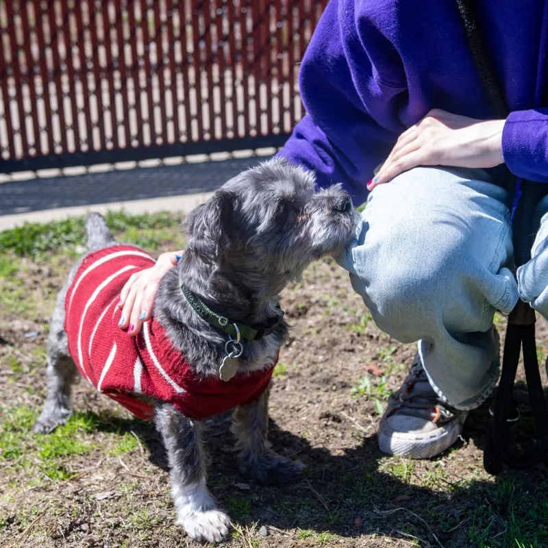 Paris Bonded W May thumbnail 3