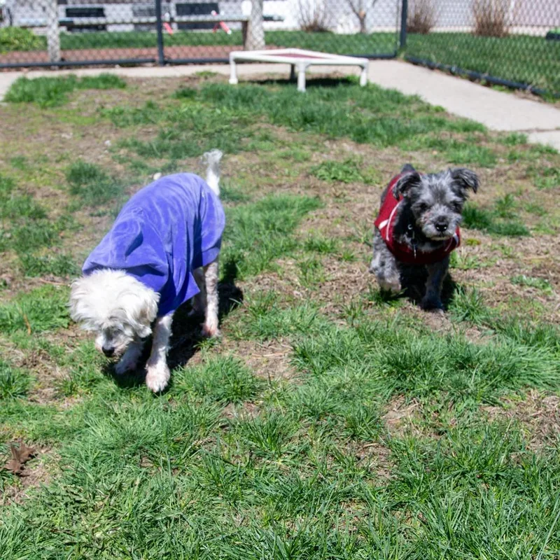 Paris Bonded W May thumbnail 5