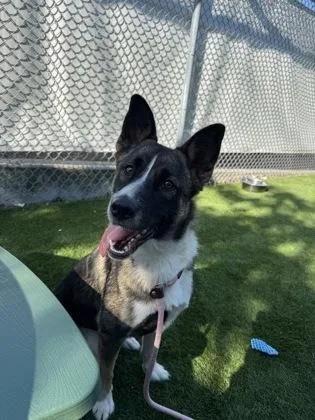 Delilah