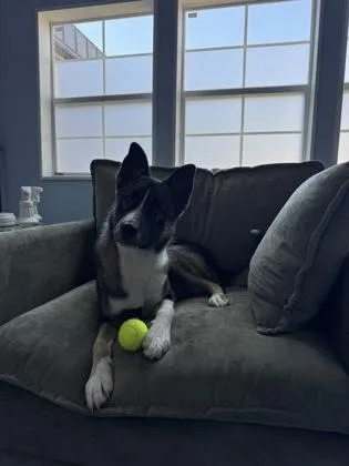 Delilah thumbnail 3