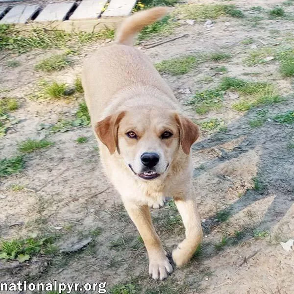 Tuff In La  thumbnail 2