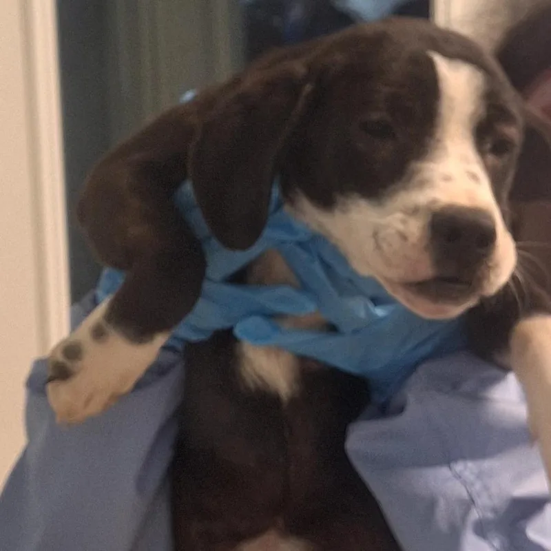 Betty Davis thumbnail 2