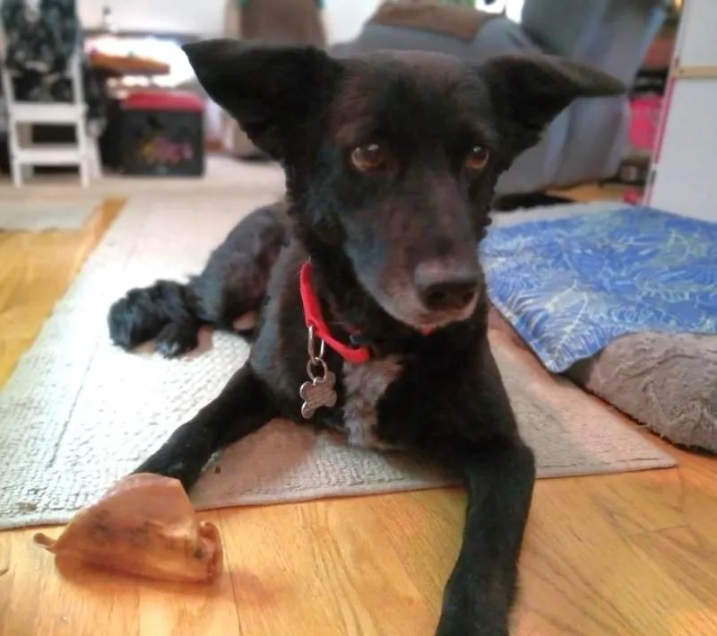 Madam Sadie thumbnail 4