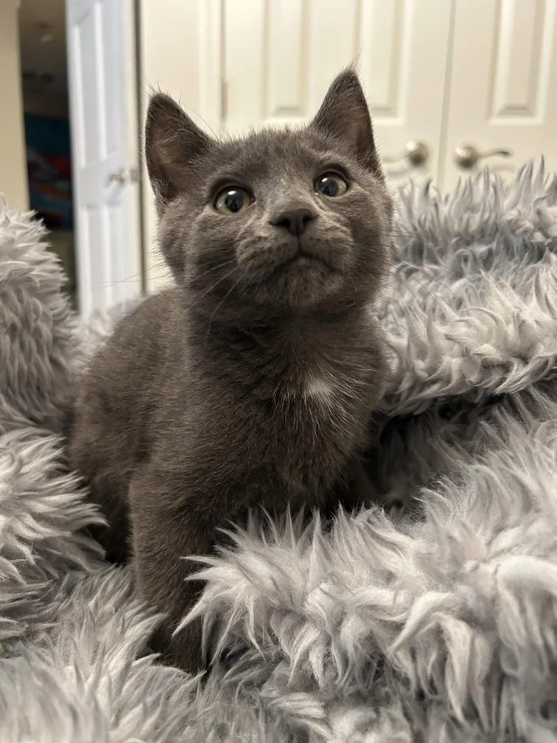 Tony
