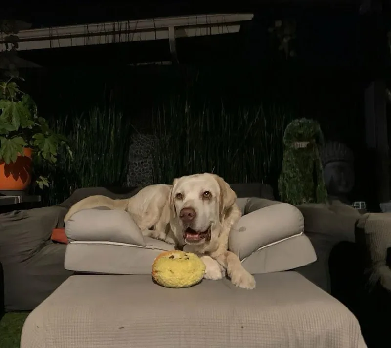 Franklin thumbnail 2