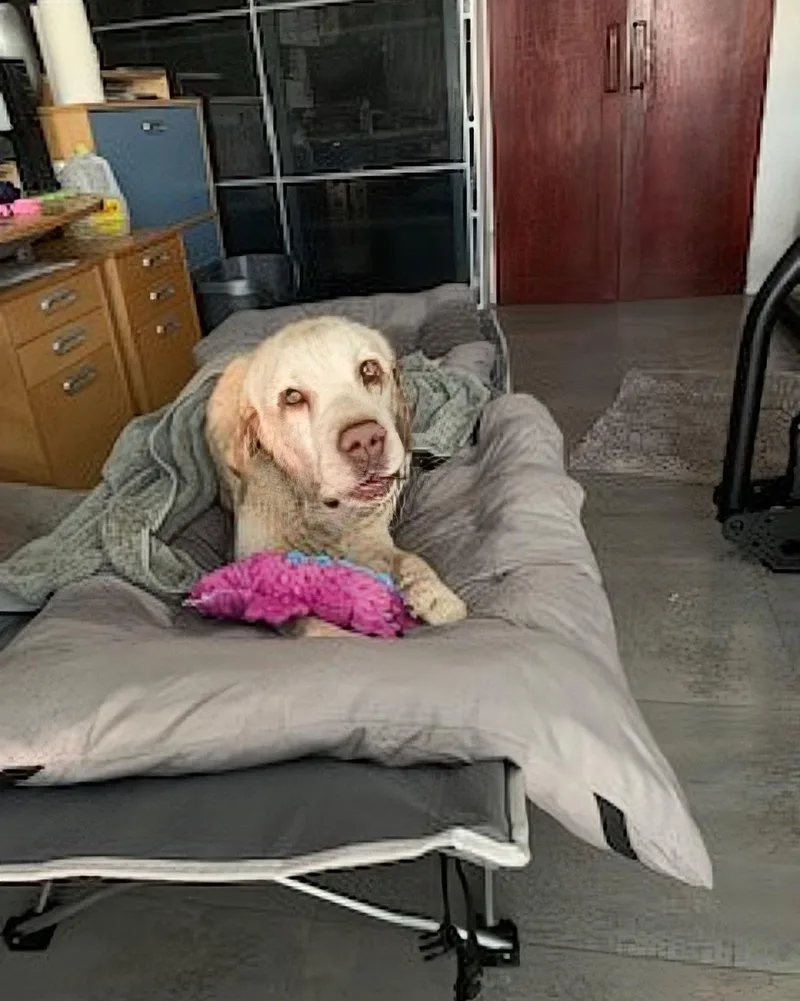 Franklin thumbnail 3