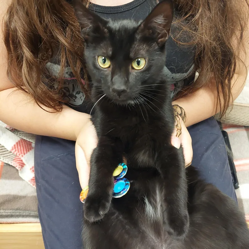 Rudy Cizek thumbnail 2