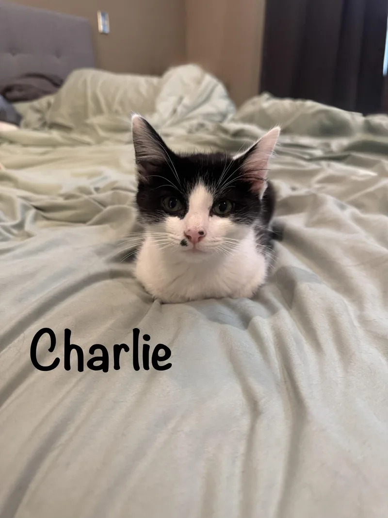 Charlie & Max  thumbnail 2