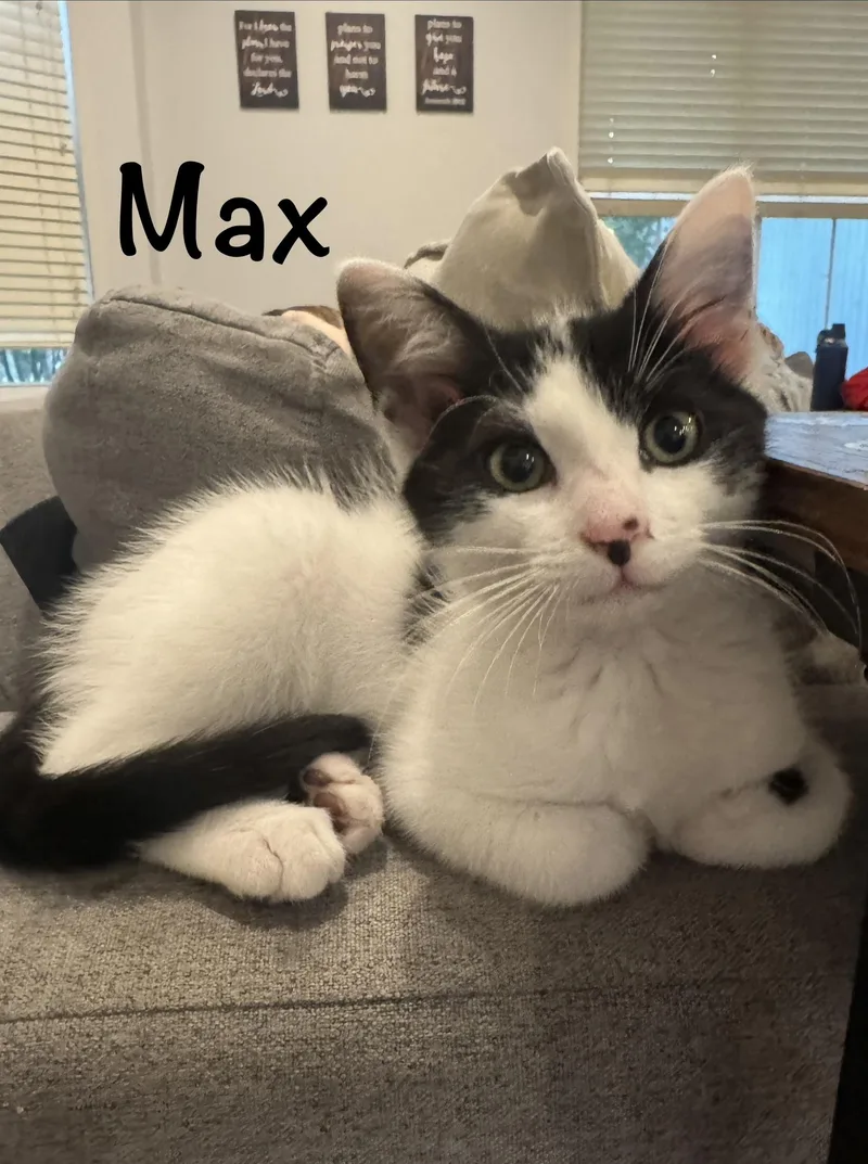 Charlie & Max  thumbnail 4