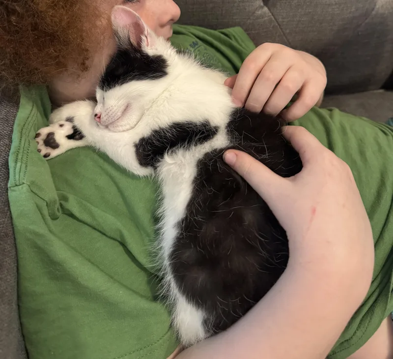 Charlie & Max  thumbnail 5