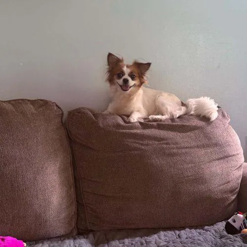 Khloe thumbnail 3