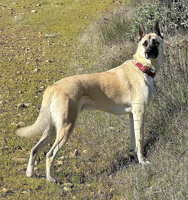 Titus thumbnail 3