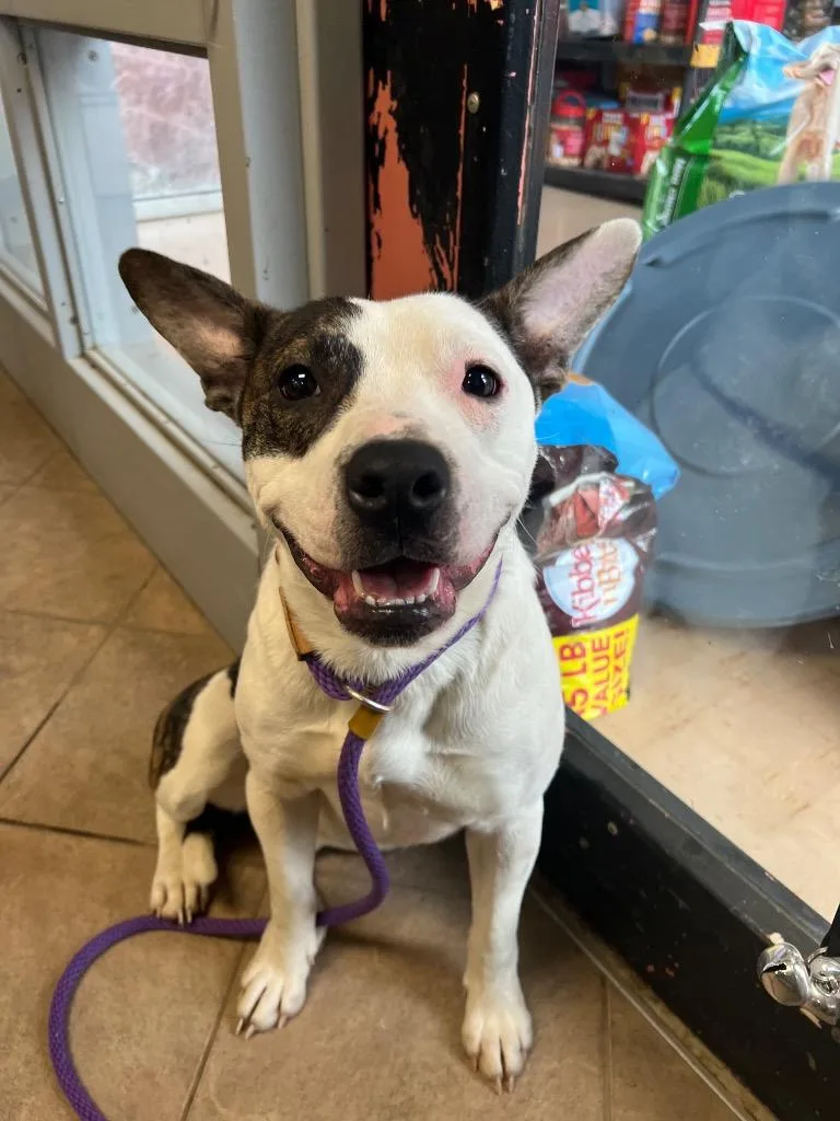 Jayden Marie thumbnail 2