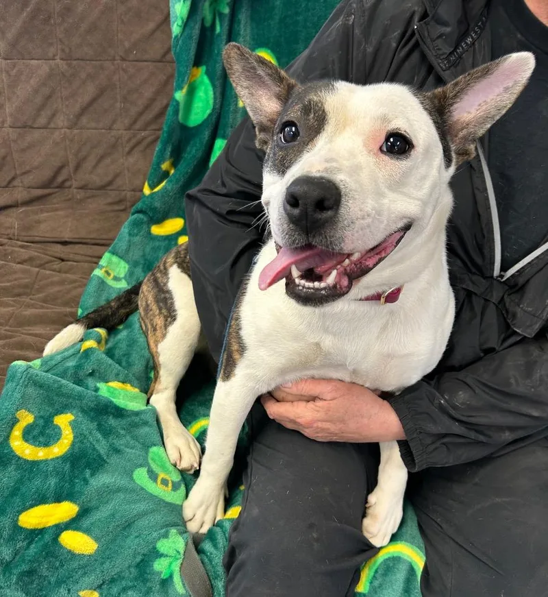 Jayden Marie thumbnail 3