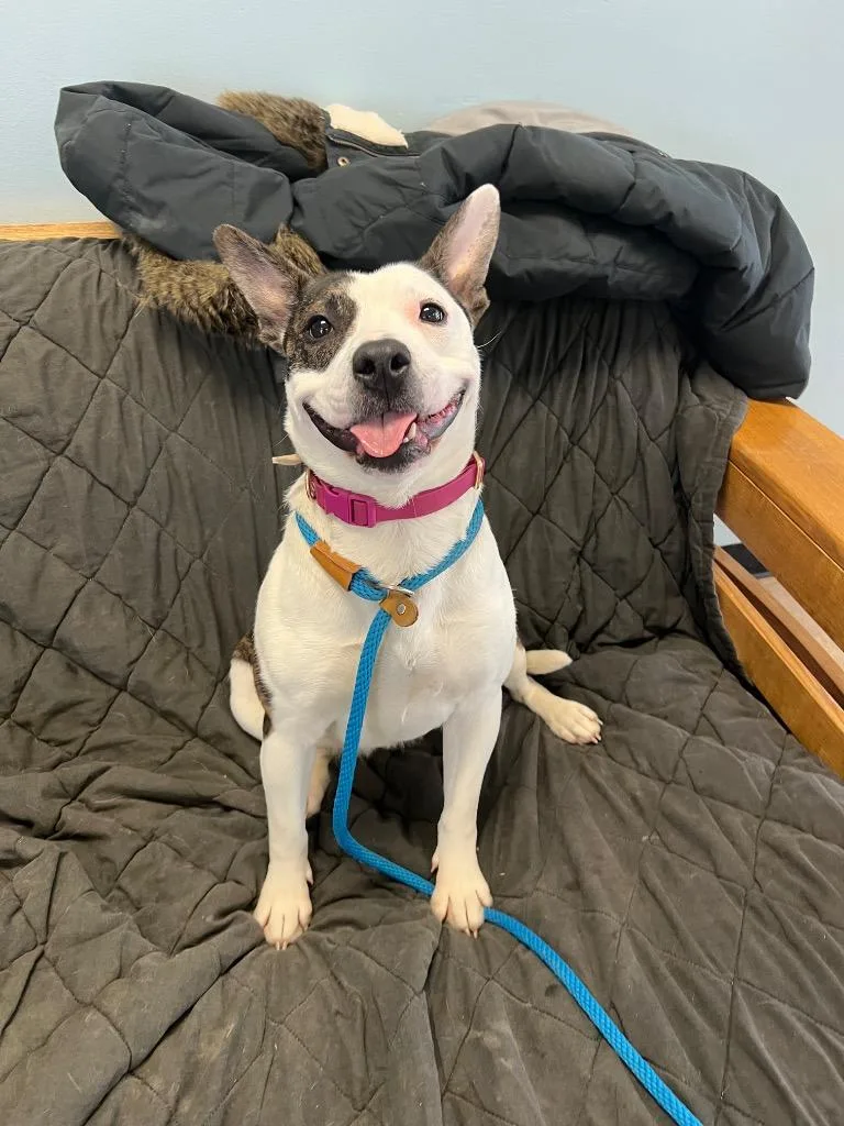 Jayden Marie thumbnail 4