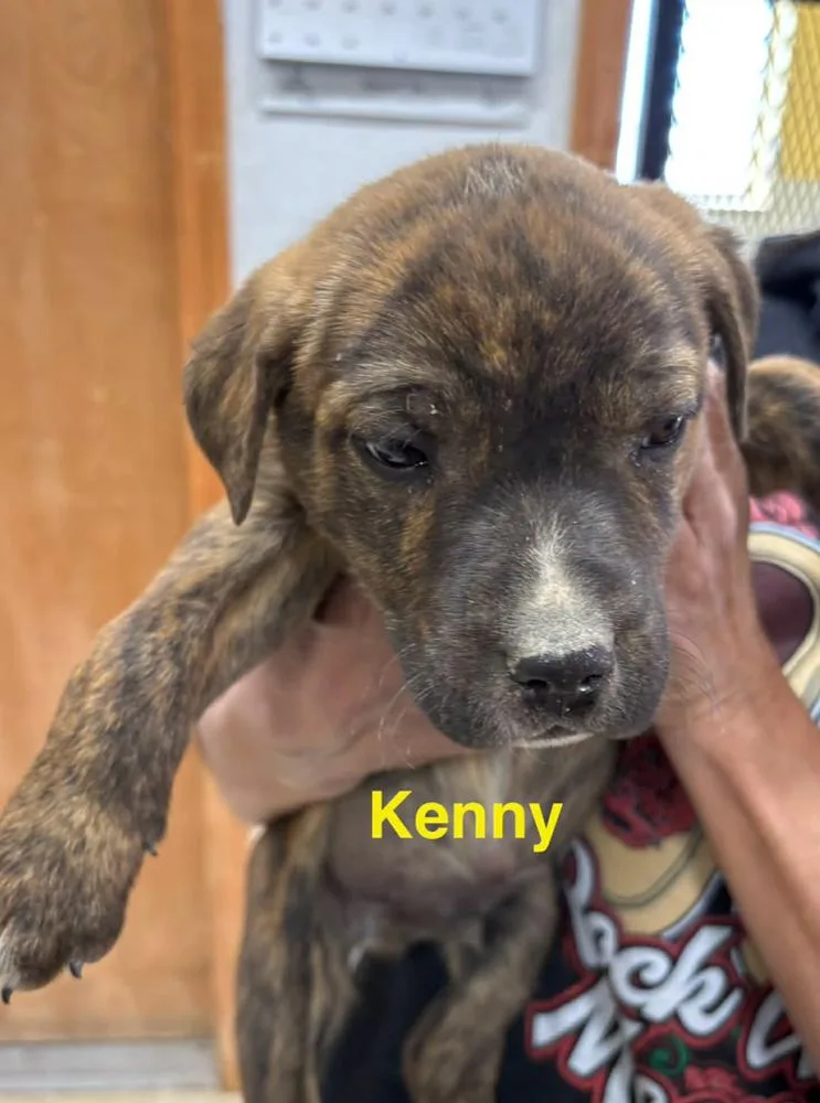 Kenny thumbnail 2