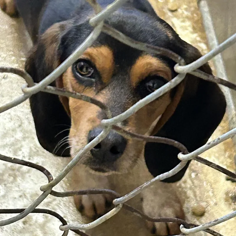 Papa John thumbnail 2