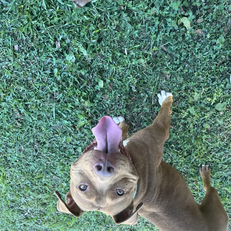 Ruby Sue thumbnail 2
