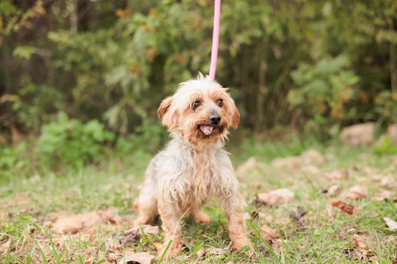 Winifred thumbnail 2