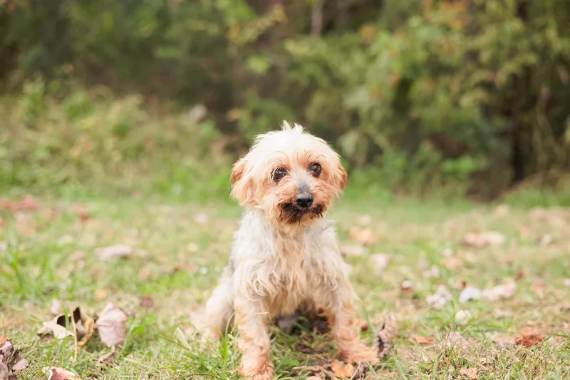 Winifred thumbnail 3