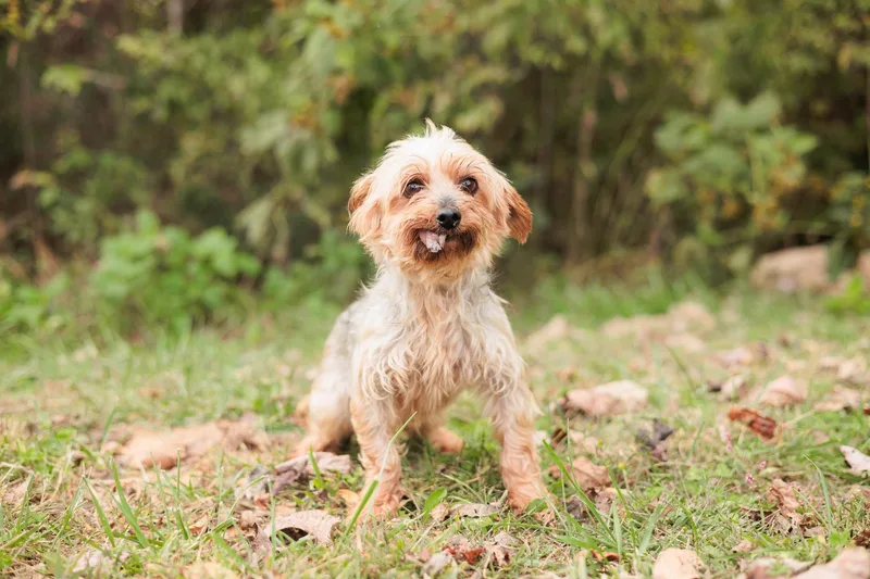 Winifred thumbnail 4