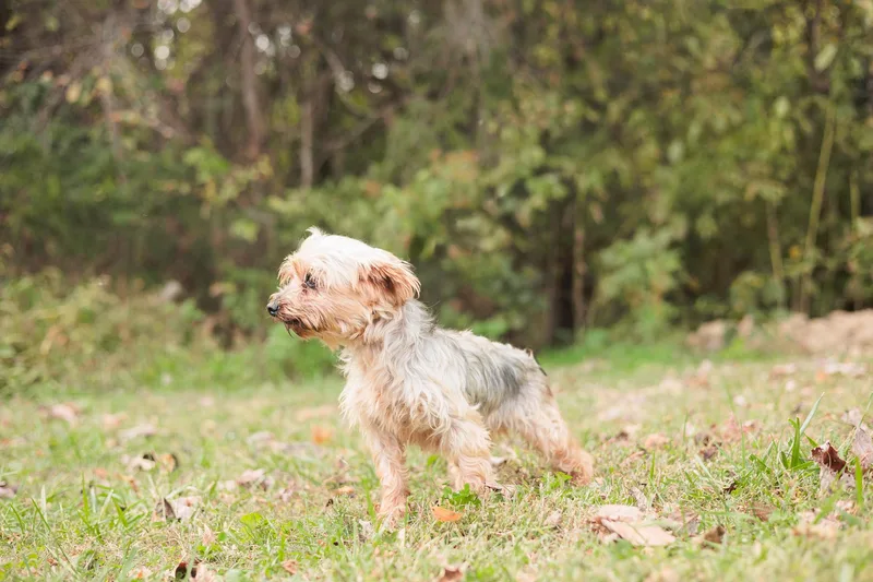 Winifred thumbnail 5