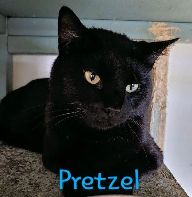 Pretzel thumbnail 2