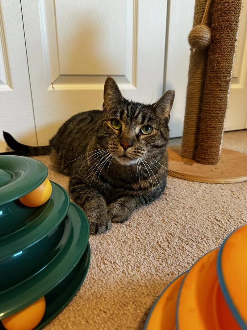 Mr. Bill thumbnail 3