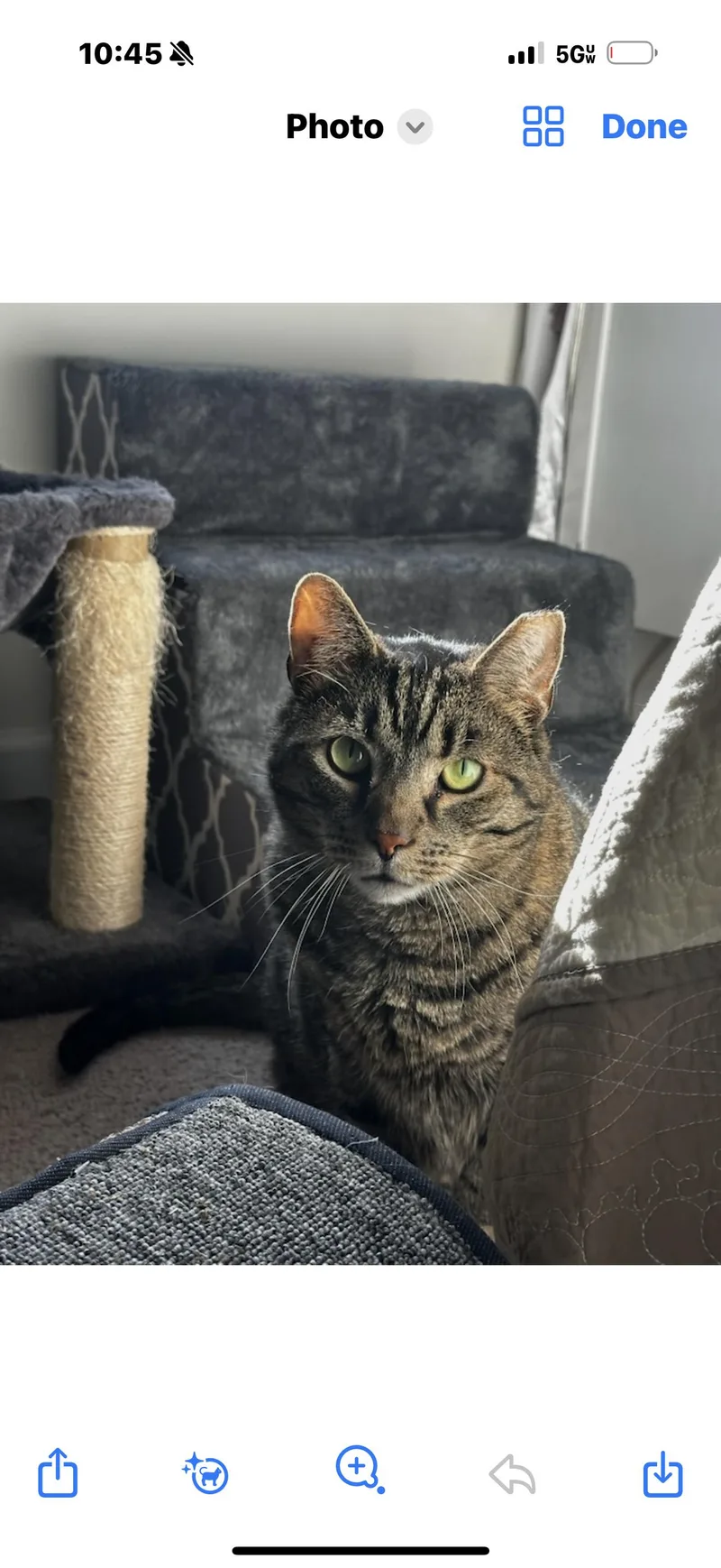 Mr. Bill thumbnail 4