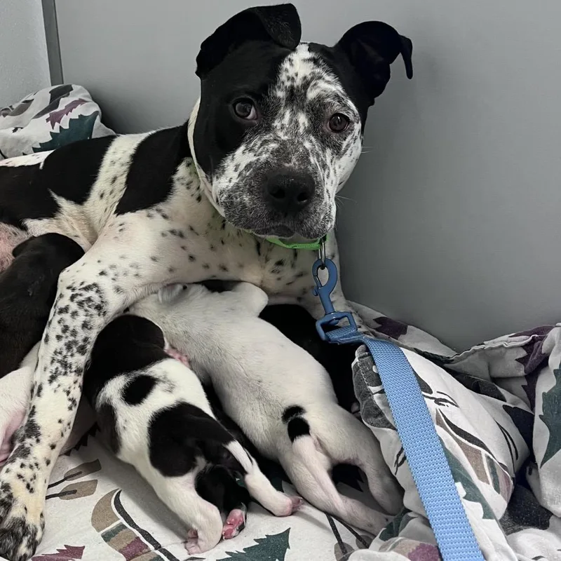 Princess Peach thumbnail 2