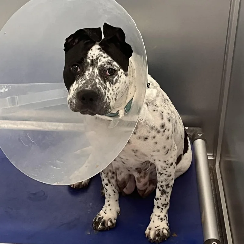 Princess Peach thumbnail 3