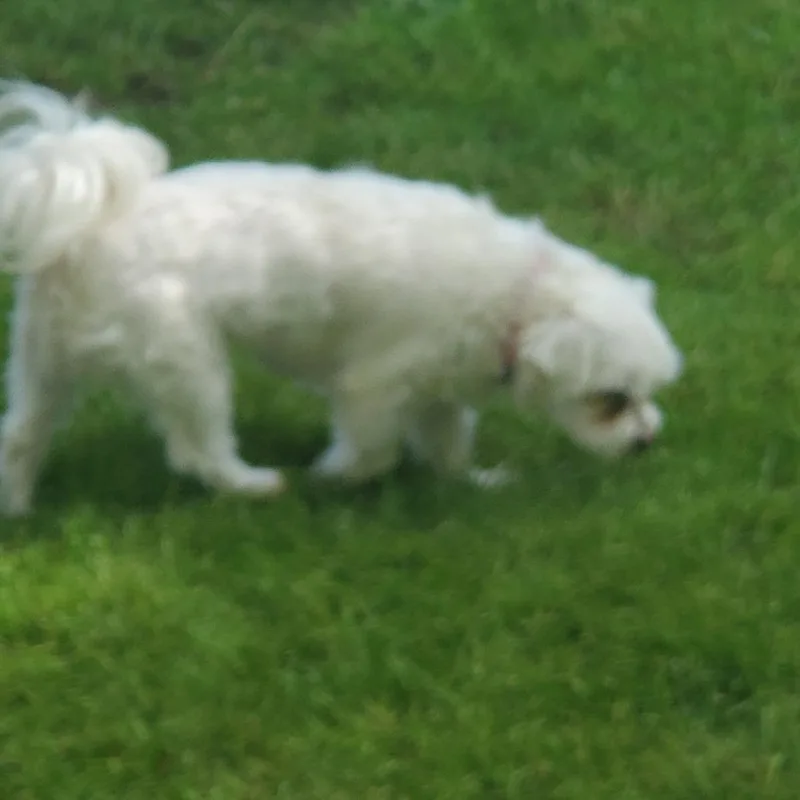 Lily Mae thumbnail 2