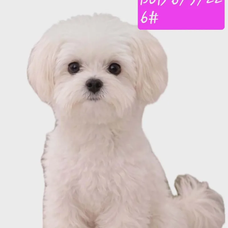 Lily Mae thumbnail 3