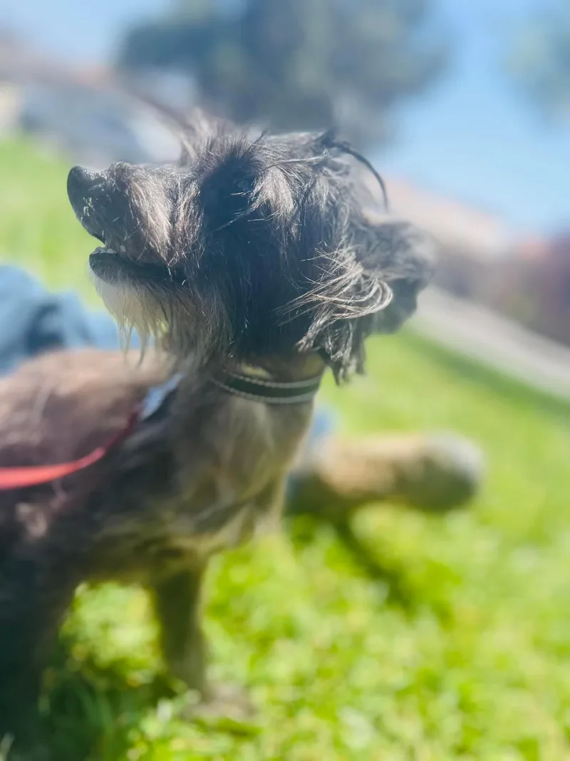 Lilibeth thumbnail 2