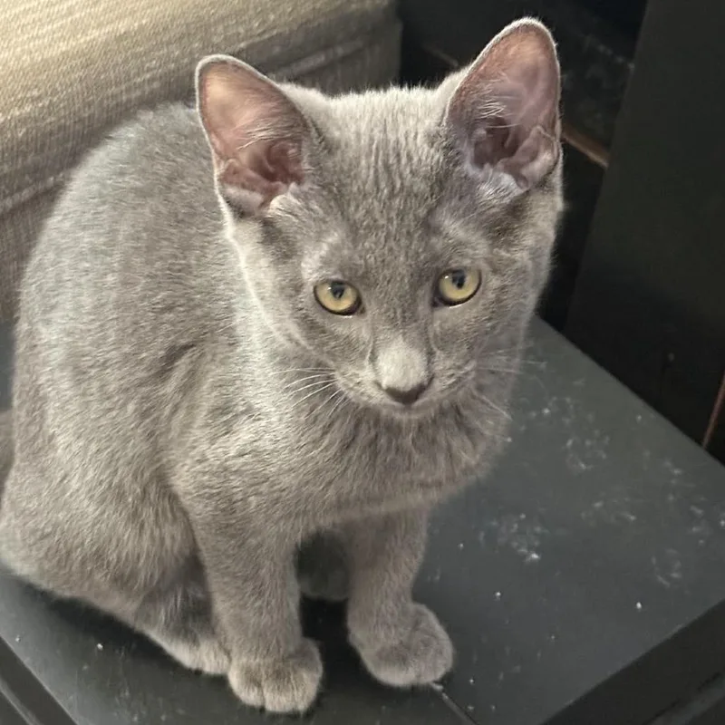 Winnie thumbnail 2
