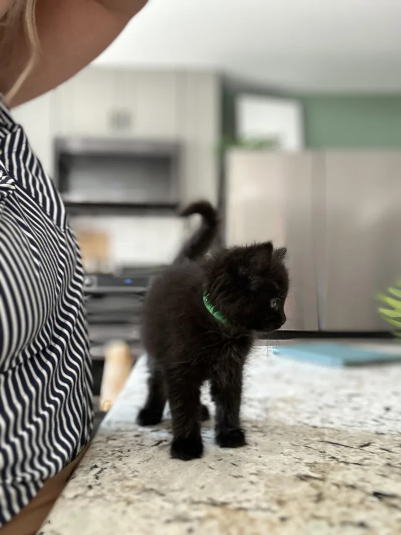Macy thumbnail 2