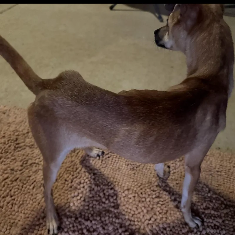 Slim Shady thumbnail 3