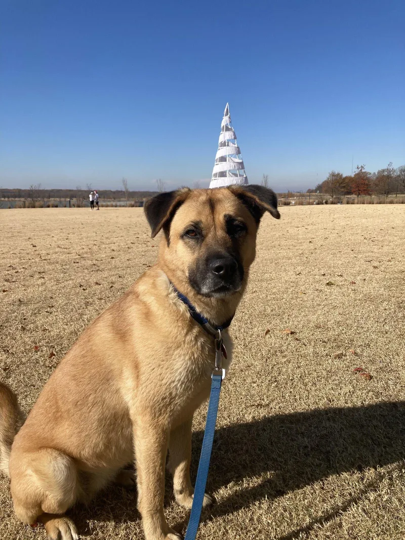 Sam