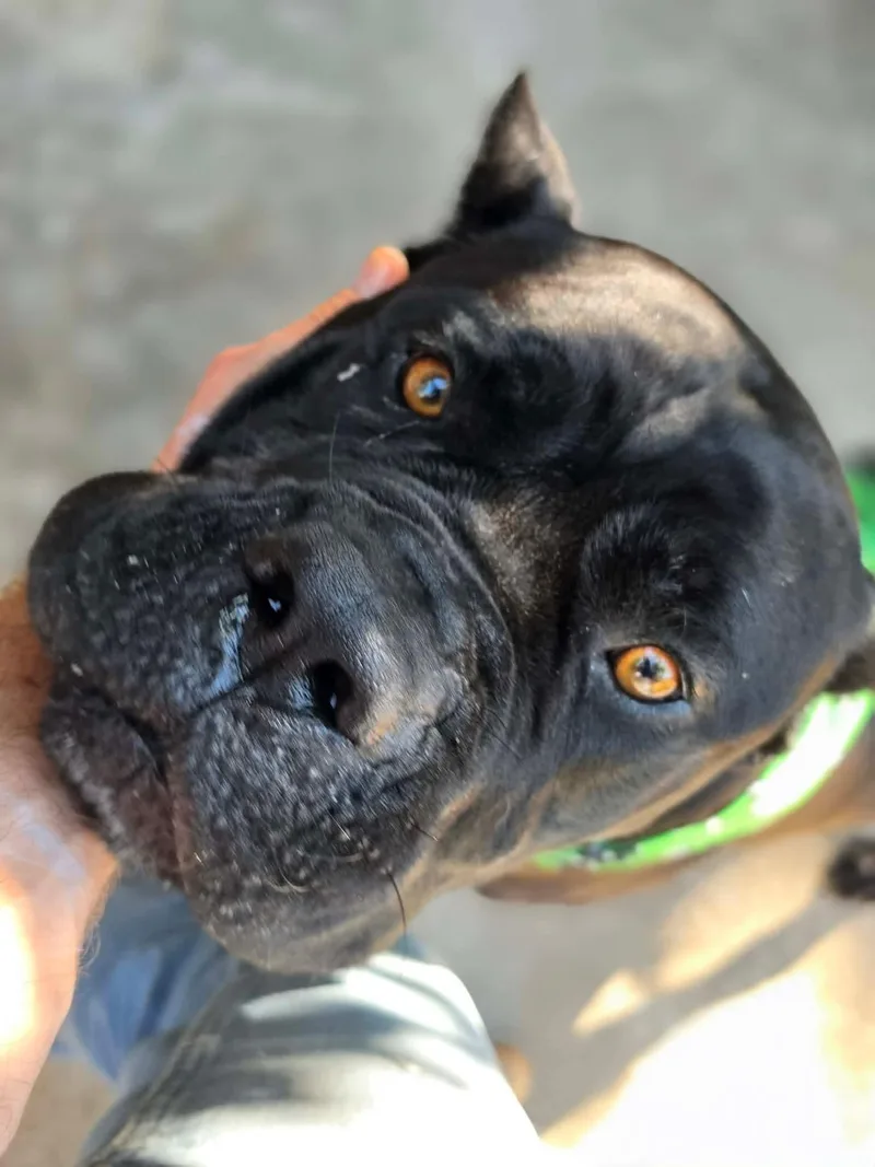 Baby Frank thumbnail 3