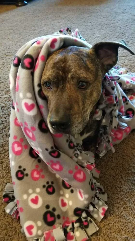 Rockwell thumbnail 4