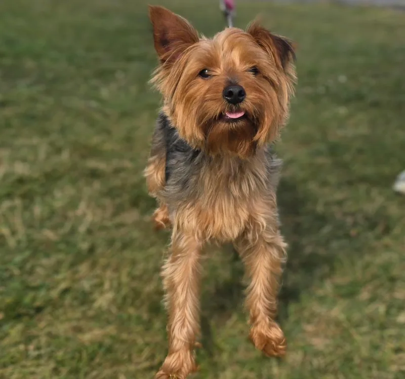 Peter