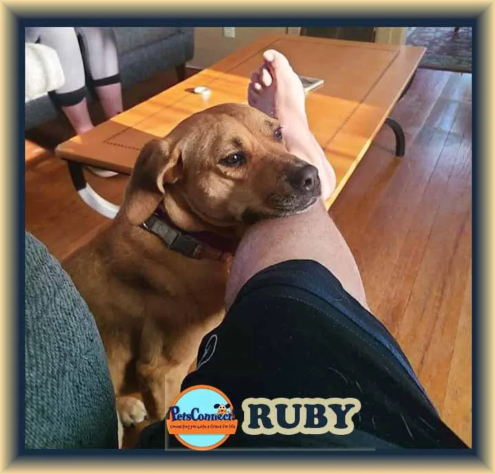 Ruby thumbnail 4