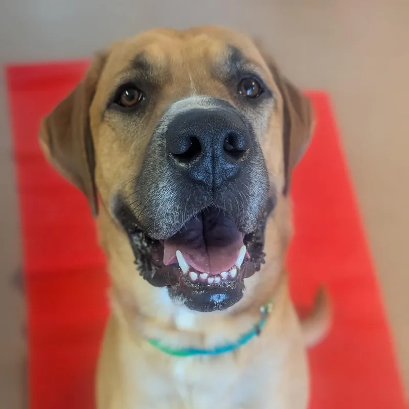 Miles thumbnail 6