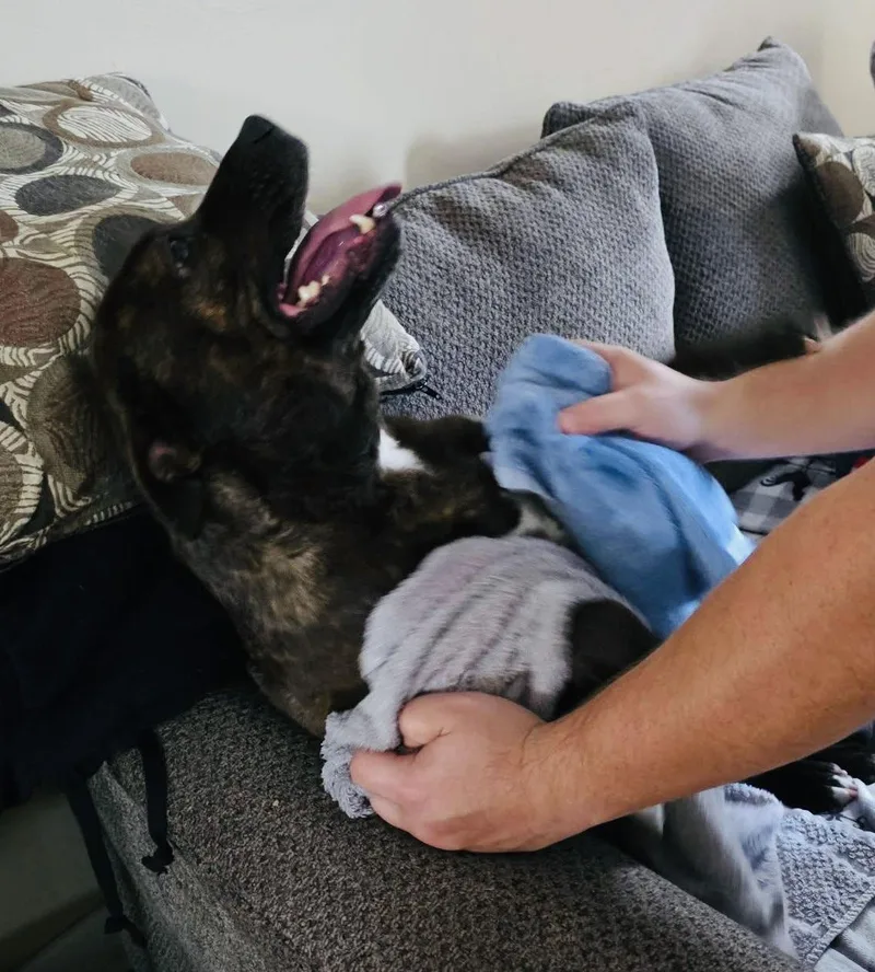 Mallow Cup thumbnail 2