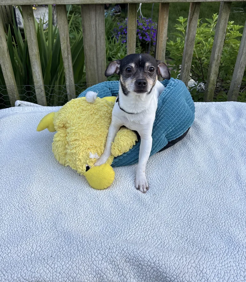 Paco
